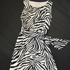 Banana Republic Zebra Print Dress